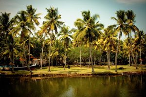 Slots No Deposit Bonus India in Kerala: Complete 2027 Guide for Indian Players